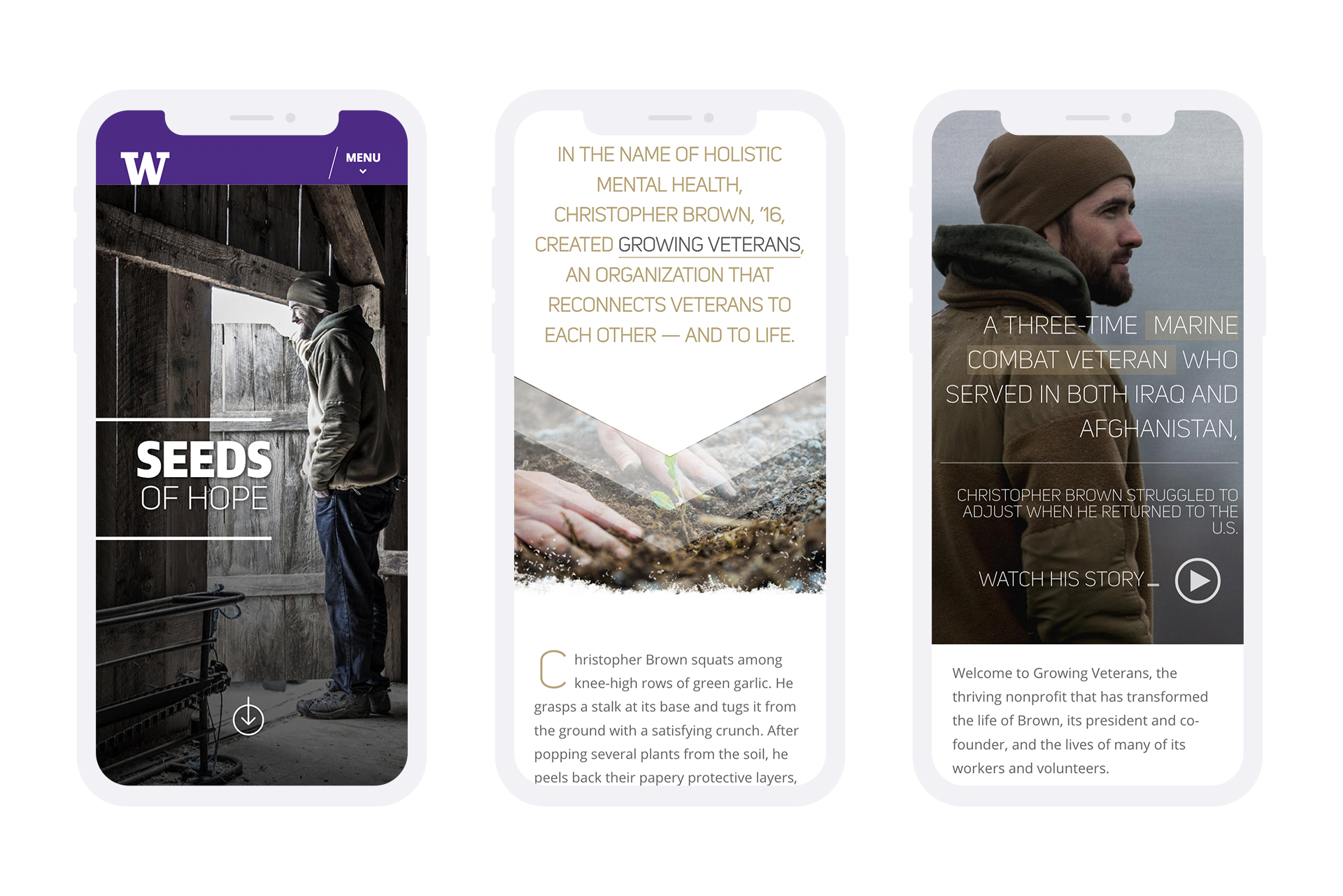 seeds of hope, growing veterans mobile website design