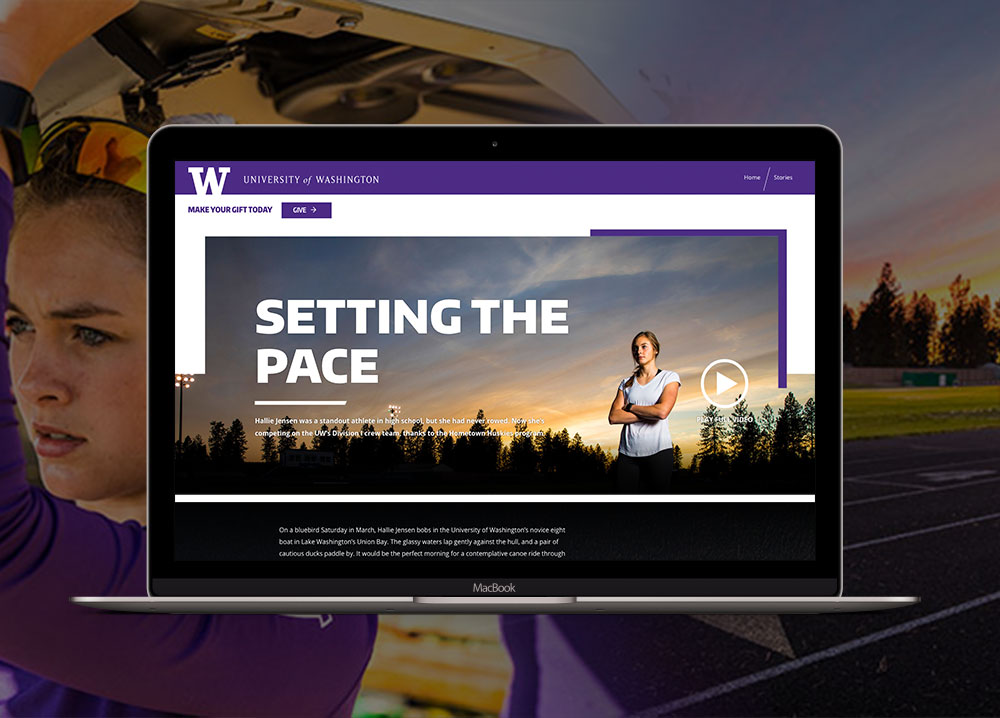 university of washington jackson school website design thumbnail